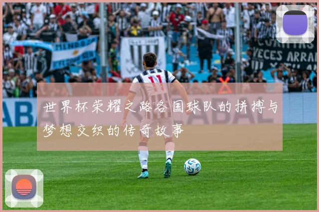 世界杯荣耀之路各国球队的拼搏与梦想交织的传奇故事