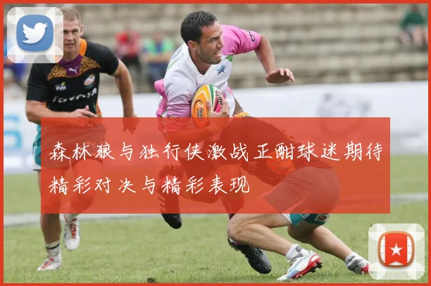 森林狼与独行侠激战正酣球迷期待精彩对决与精彩表现