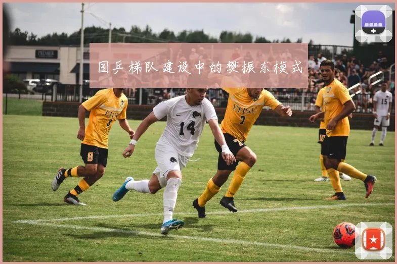 国乒梯队建设中的樊振东模式