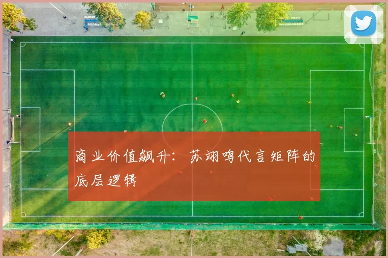 商业价值飙升：苏翊鸣代言矩阵的底层逻辑