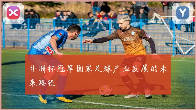 非洲杯冠军国家足球产业发展的未来路径
