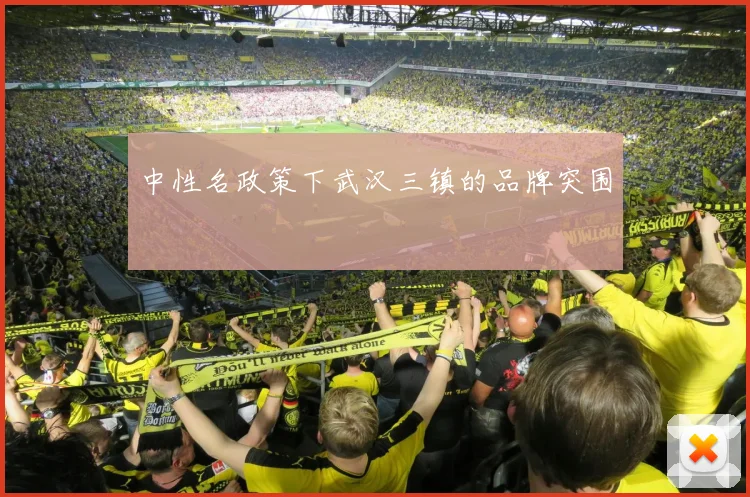 中性名政策下武汉三镇的品牌突围