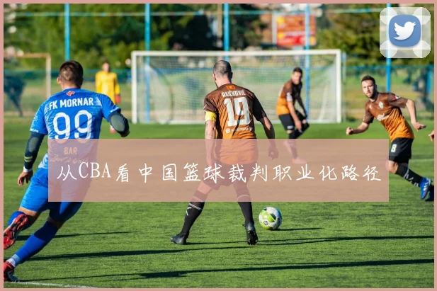 从CBA看中国篮球裁判职业化路径